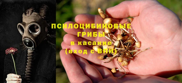 мдпв Армянск
