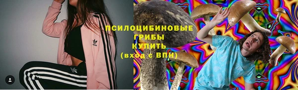 тгк Аркадак